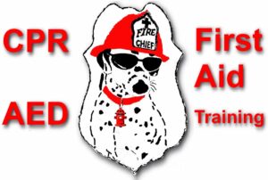 CPR/First Aid/AED Training